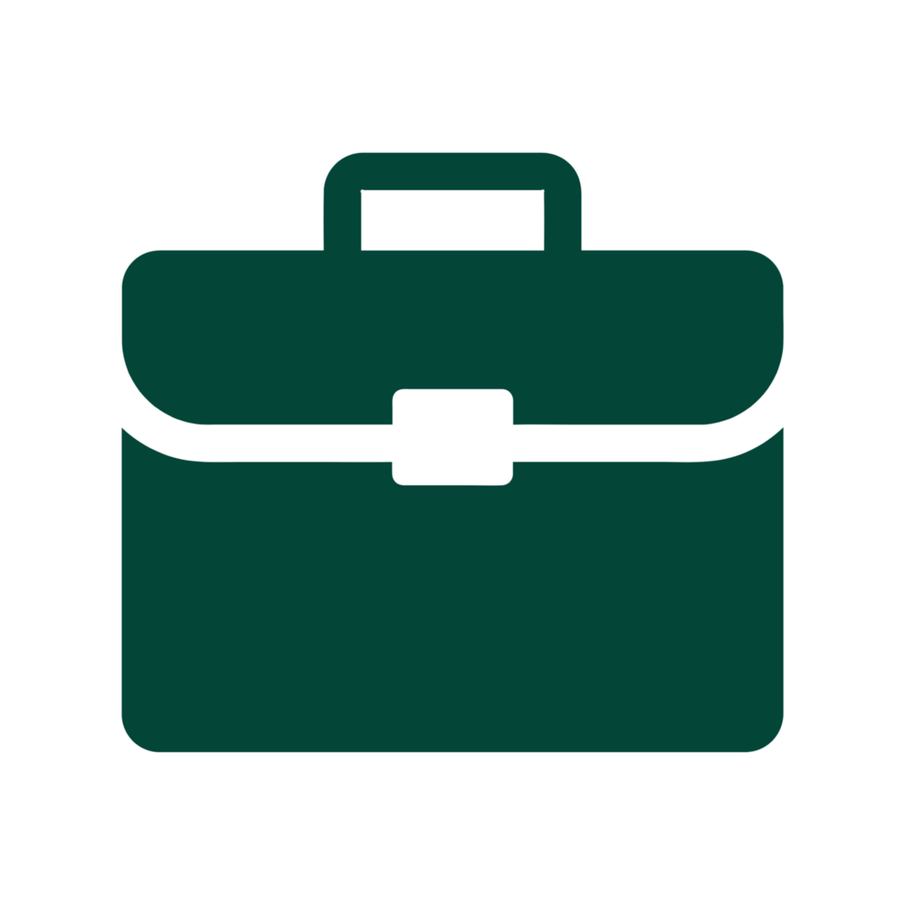 Briefcase icon