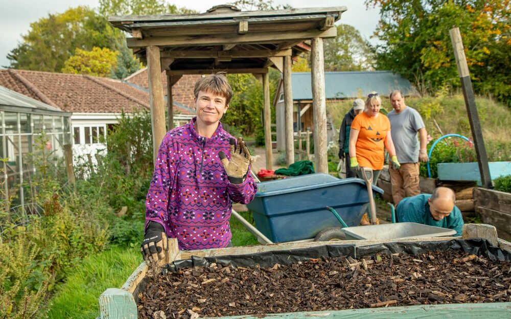 Ceri planting in the garden